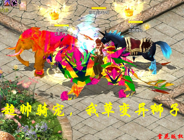 雪花魔域私服弓箭手版本
