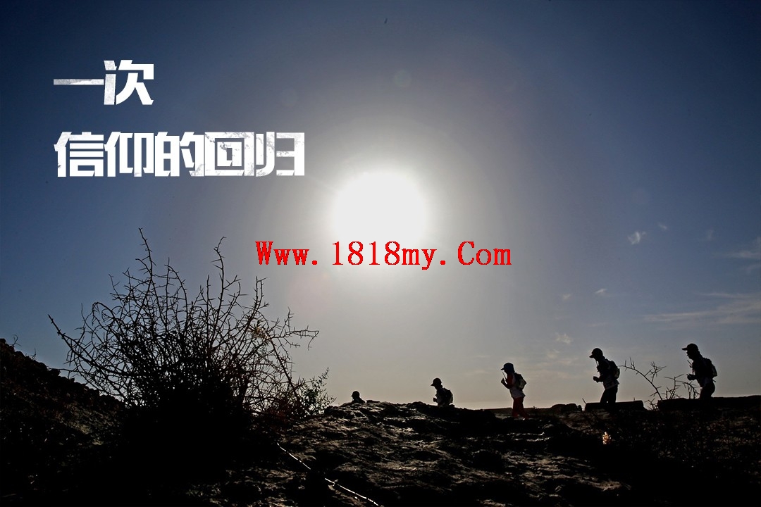 感谢魔域一条龙让我走出逆境